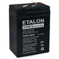 Изображение аккумулятор etalon fors 6045